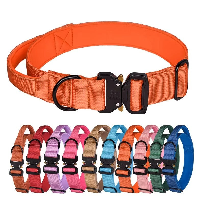 Classic Adjustable Dog Collar (Color Collection)