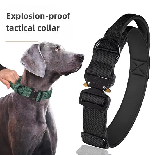 Classic Adjustable Dog Collar