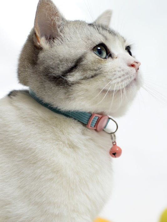 Double-Sided Printed Breakaway Cat Collar (2-in-1 Set)