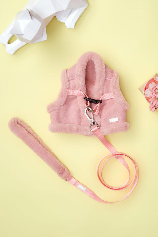 💗 Harness &amp; Leash Set “Soft Blush”